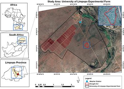 Disentangling Drought and Grazing Effects on Soil Carbon Stocks and CO2 Fluxes in a Semi-Arid African Savanna